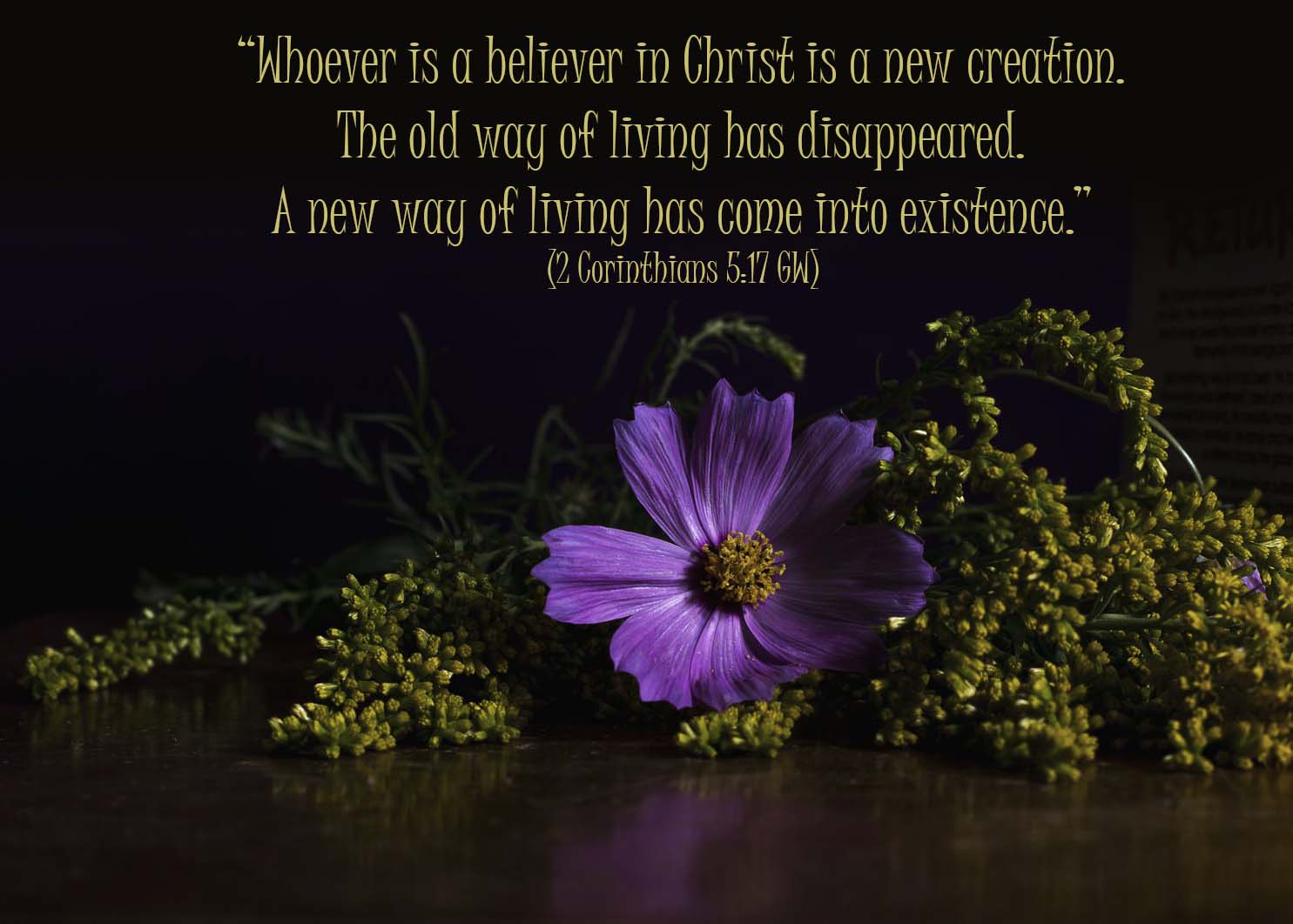 Following Jesus Will Make You A New Creation – Honest Reflections